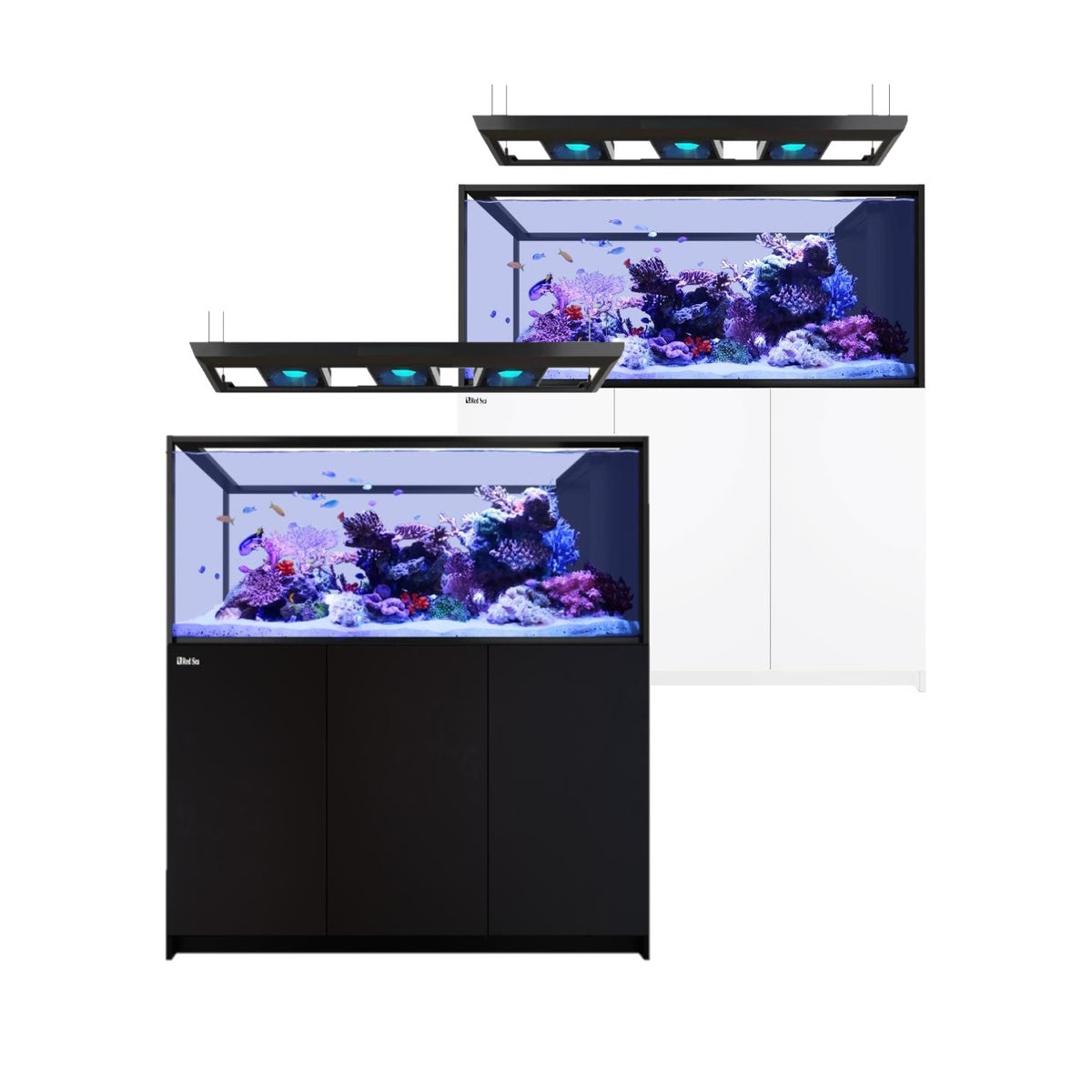 Red Sea REEFER G2+ S-700 Peninsula Deluxe – Nature Aquariums