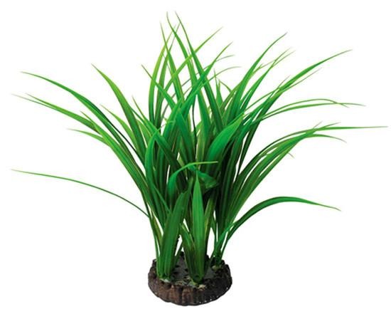 15” Bunch Plant Rush - Nature Aquariums