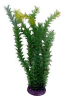 15” Economy Plant - Nature Aquariums