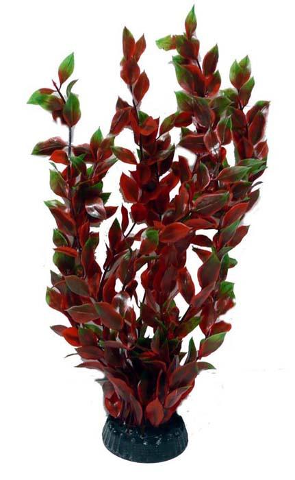 22” Economy Plant - Nature Aquariums