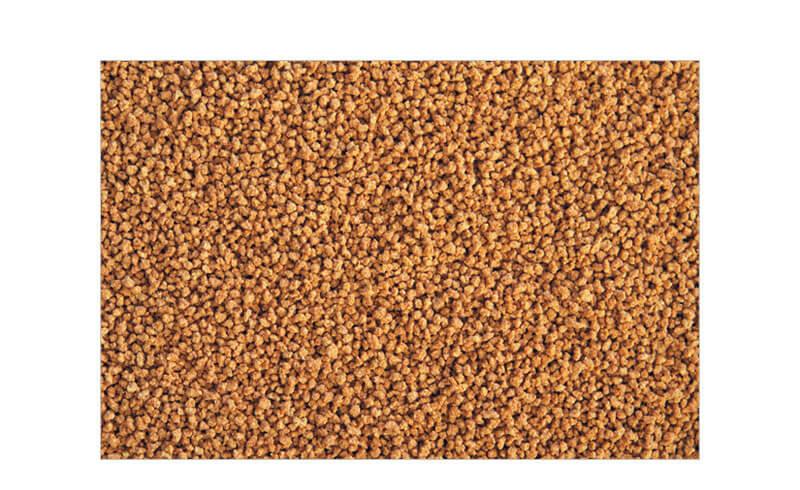 ADA Nature Aquarium AP-2 Gold Fish Food 25g - Nature Aquariums